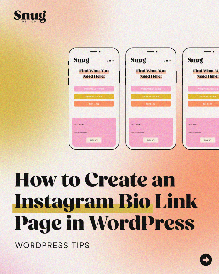 How to Create an Instagram Bio Link Page in WordPress